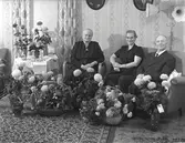 Familjen Anja Persson