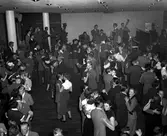 Grottan på Folkets hus