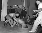 Brottningsmatch i Linköping