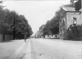 Vykort, Västra Vallgatan i Varberg mot norr med Jobsons magasin till höger med Brunnsparken på andra sidan. Till vänster i bild ligger kv Trädgården. Fototid: 1910-tal.