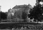 Svanar simmar i Svartån mellan Örebro slott och Centralparken, 1930-tal