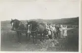 Axel Eriksson (1877 - 1958) och sommargäster står ute på åkern med två förspända arbetshästar, 
