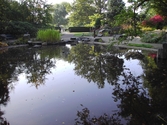 Besök i stadsparken i Örebro, 2005