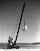 Fahlströms Kol, kranar