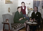 Äldre herre tillsammans med en kvinna och yngre pojke