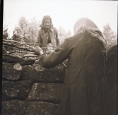 Kloare- eller Kloar-Inger och Fållse-Maria, vänd hitåt, sysslar med kvistar vid en stenmur. Båda bär hucklen.