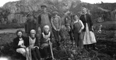 Paus i potatisplockningen hos Lundgrens i Veddige för fotografering. Till vänster sitter Evelina i Utmossen och troligen är det Emil i Utmossen som står till vänster om hästen. I bakgrunden reser sig ett berg.