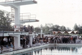 Svenska mästerskapet i simning, 1964
