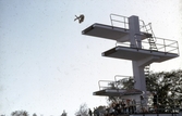 Höjdhopp vid svenska mästerskapet i simning, 1964