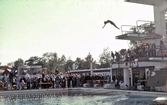 Baklängeshopp vid Svenska mästerskapet i simning, 1964