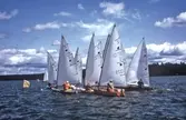 Segling på Hjälmaren, 1976