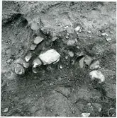 Svedvi sn, Hallstahammar kn.
Undersökning på gravfält vid Näs. Anläggning nr 1B.