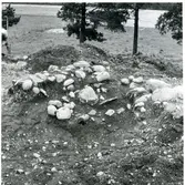 Svedvi sn, Hallstahammar kn.
Undersökning på gravfält 14 vid Näs. Anläggning nr 10.