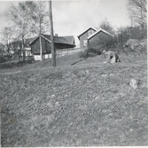 En kvinna arbetar i jorden utanför nedre eller övre gården, Backen eller Högen i Kållered 1950-tal.
