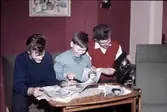 Pojkar tittat på idolfoton på ungdomsgård i Örebro,  1950-tal