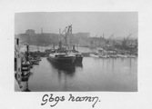 Göteborgs hamn 1923.