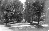 Gäfle Stadsträdgården