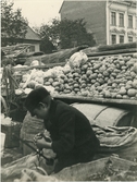 Höstmarknad på Vaksala torg, Uppsala 1913