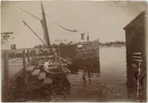 Fartyg vid brygga, Öregrund 1897