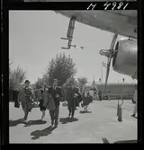 1717 M a.b.a Istanbul