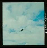 2365/3 Flygvapnet Flygdag F-16 Uppsala