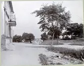 Västerås, Oxbacken.
Vy från Oxbacken mot öster.