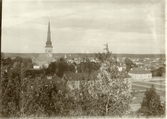 Västerås.
Vy från Djäkneberget. C:a 1890-tal.