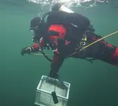 Resande Man. Bärgning av plåtmynt