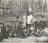 En kvinna matar gårdens hönor, 