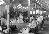 Arbetare i syverkstaden på Centralverkstäderna, 1904-11-05