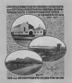 Omslag till Centralverkstadens i Örebros sjuk- och begravningskassas understödsförenings 10 årsberättelser, 1917