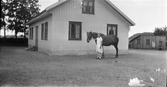 Evelina Larsson på Utmossen, Fageråkra står med en häst vid husgaveln. I bakgrunden ett uthus med pulpettak och omålad fasad.
