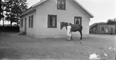 Evelina Larsson på Utmossen, Fageråkra står med en häst vid husgaveln. I bakgrunden ett uthus med pulpettak och omålad fasad.
