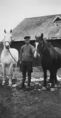 Drängen på Kalvhult, Veddige, står mellan två hästar på lite snörester framför ladugården.