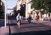 Cyklister på Storbron, 1989