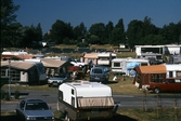 Husvagnar samsas på Gustavsviks camping, 1989