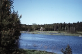 Listresjön vid Dyltabruk, 1989