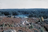 Vy mot sjön Västerämten, 1975-1980