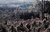 Bergslagsleden vid Blankhult, 1975-1980