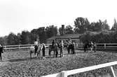 Barn och hästar vid Karlslunds gård, 1983