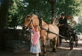 Häst och vagn i Örebro, 1980-tal