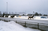 Lopp på Örebro travbana, 1984