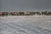 Start på Wadköpingsloppet i Örebro, 1980-tal