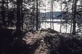 Dammsjön vid Bergslagsleden, 1970-tal