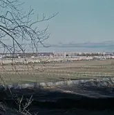 Vy från Karlslunds herrgård mot Solhaga och Västhaga, 1978