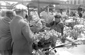 Blomsterförsäljning på Stortorget, 1974