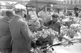 Blomsterförsäljning på Stortorget, 1974