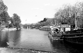 Turistbåt vid Hamnplan på Båtens dag i Örebro, ca 1982