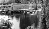 Barn i Stadsparken, 1960-tal