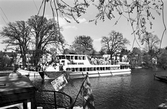 Turistbåten Hjelmare kanal, ca 1982